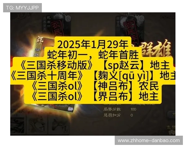 三国杀游戏卡片豪华版2025全新内容解读与特色玩法解析