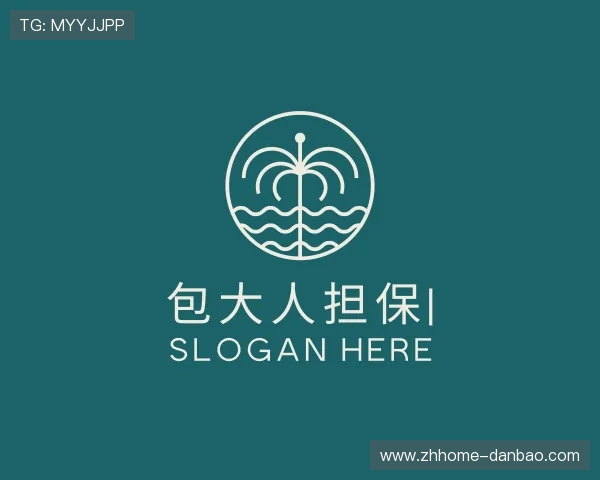 发现包大人担保集团